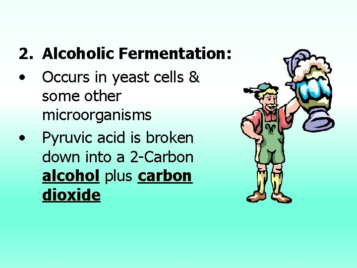 2. Alcoholic Fermentation: • Occurs in yeast cells & some other microorganisms • Pyruvic