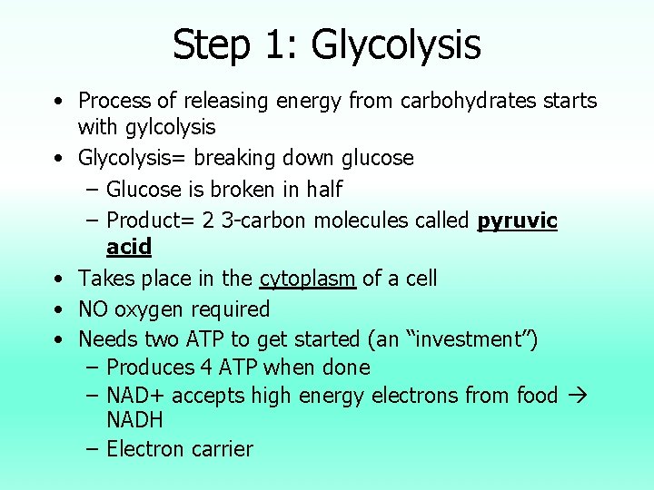 Step 1: Glycolysis • Process of releasing energy from carbohydrates starts with gylcolysis •