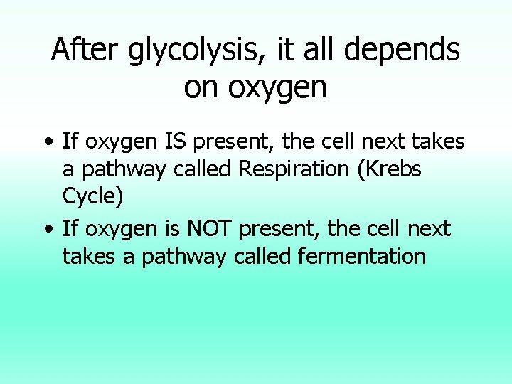 After glycolysis, it all depends on oxygen • If oxygen IS present, the cell