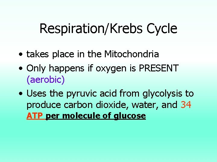 Respiration/Krebs Cycle • takes place in the Mitochondria • Only happens if oxygen is