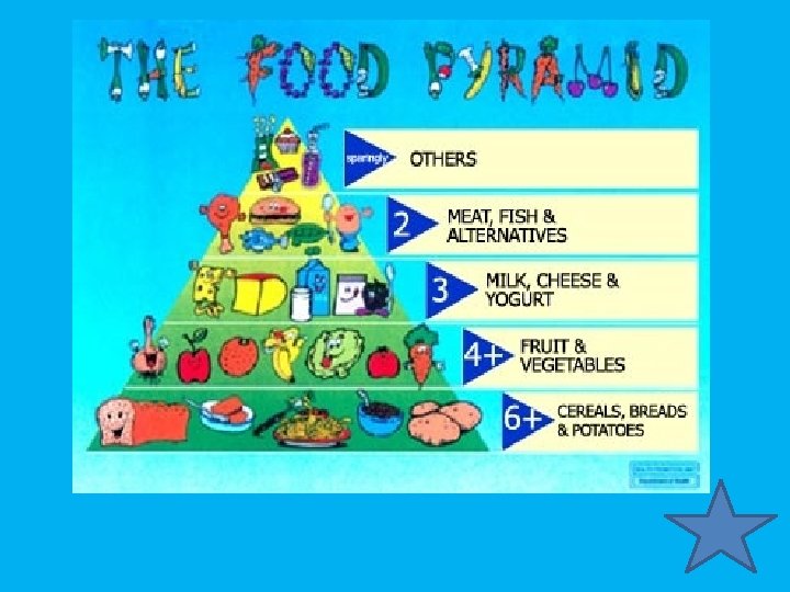 Food Pyramid 