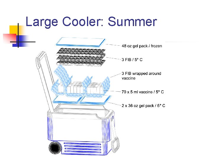 Large Cooler: Summer 