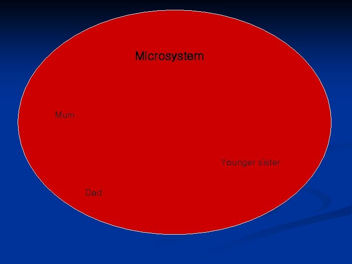 Microsystem Mum Younger sister Dad 