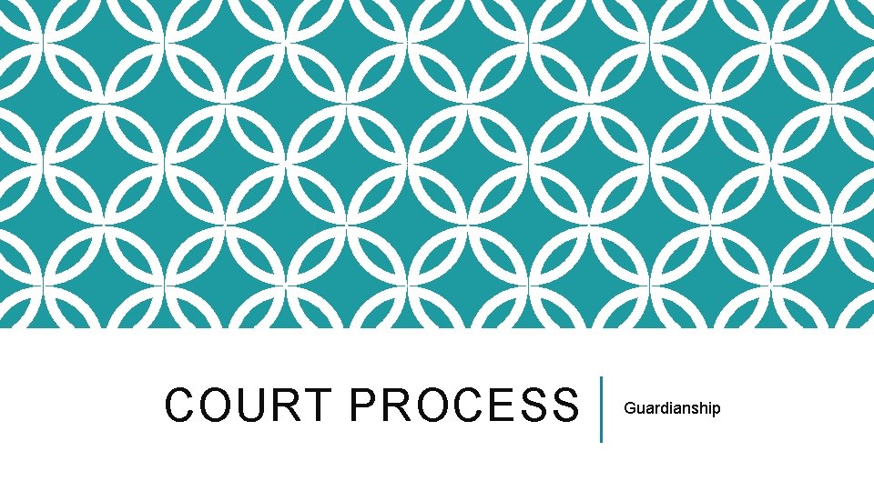 COURT PROCESS Guardianship 