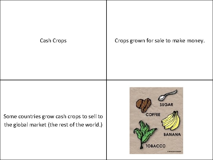 Cash Crops Some countries grow cash crops to sell to the global market (the