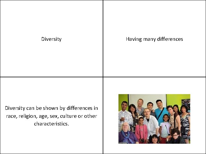 Diversity can be shown by differences in race, religion, age, sex, culture or other