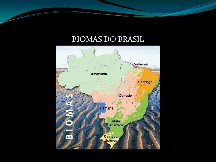 BIOMAS DO BRASIL 