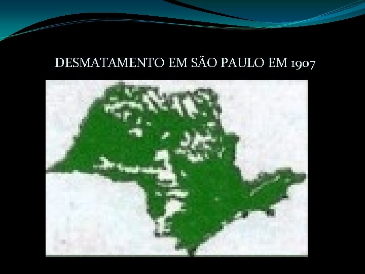 DESMATAMENTO EM SÃO PAULO EM 1907 