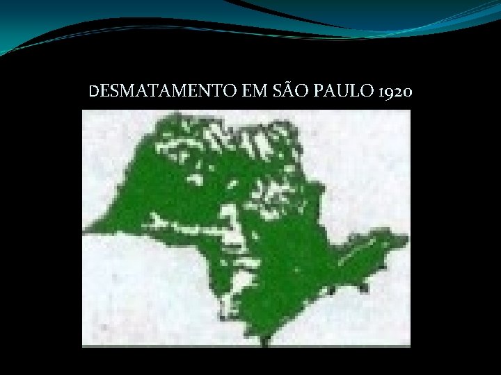 DESMATAMENTO EM SÃO PAULO 1920 