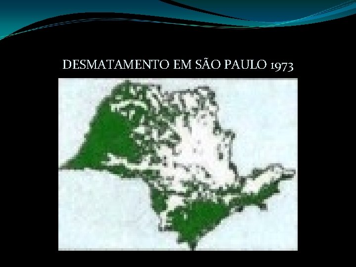 DESMATAMENTO EM SÃO PAULO 1973 