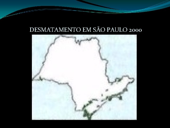 DESMATAMENTO EM SÃO PAULO 2000 