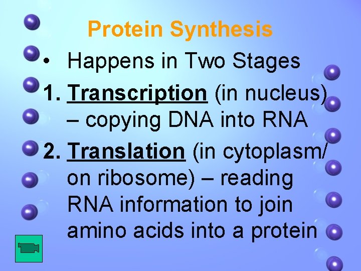 Protein Synthesis • Happens in Two Stages 1. Transcription (in nucleus) – copying DNA