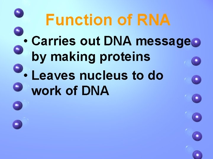 Function of RNA • Carries out DNA message by making proteins • Leaves nucleus