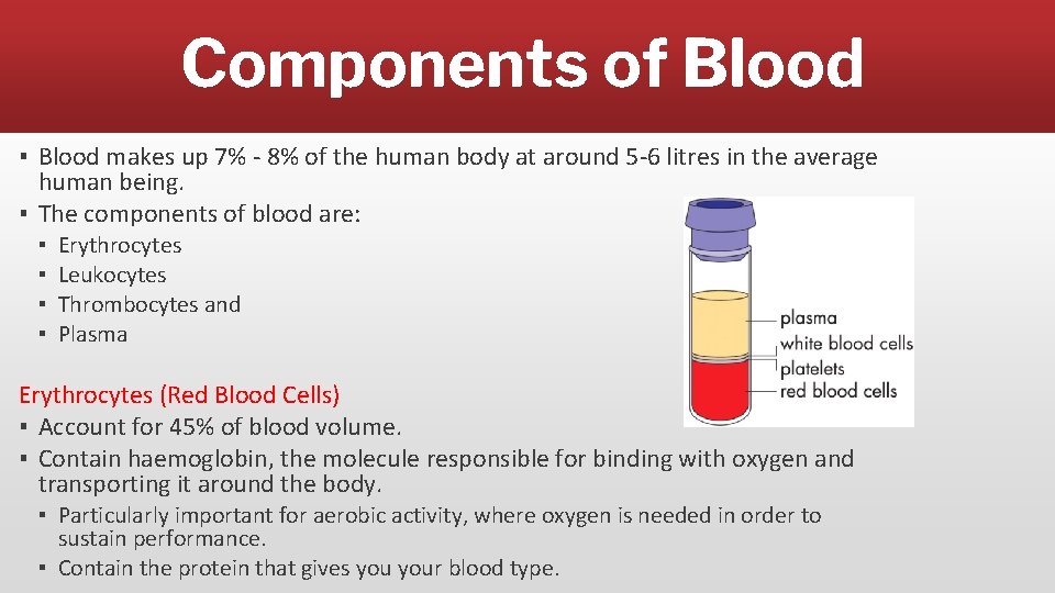 Components of Blood ▪ Blood makes up 7% - 8% of the human body