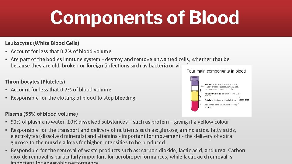 Components of Blood Leukocytes (White Blood Cells) ▪ Account for less that 0. 7%