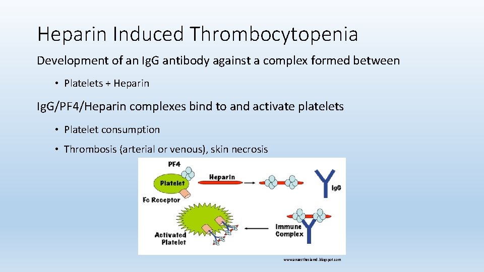 Heparin Induced Thrombocytopenia Development of an Ig. G antibody against a complex formed between