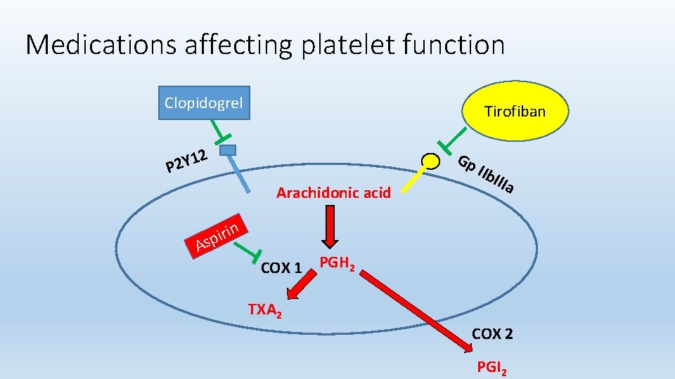 Medications affecting platelet function Clopidogrel Tirofiban 2 Gp 1 P 2 Y Arachidonic acid