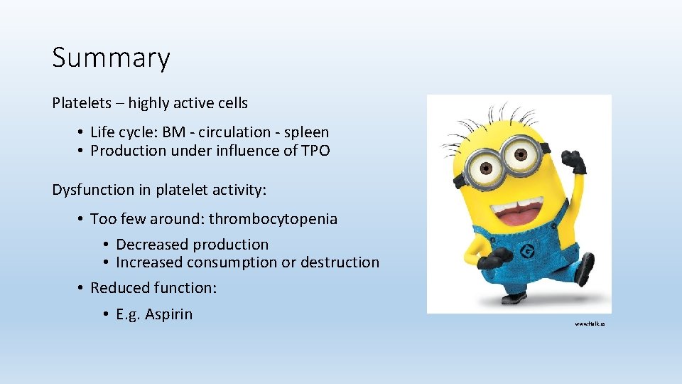 Summary Platelets – highly active cells • Life cycle: BM - circulation - spleen