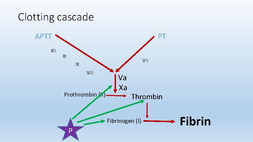 Clotting cascade APTT XII PT XI VII IX VIII Prothrombin (II) Va Xa Thrombin