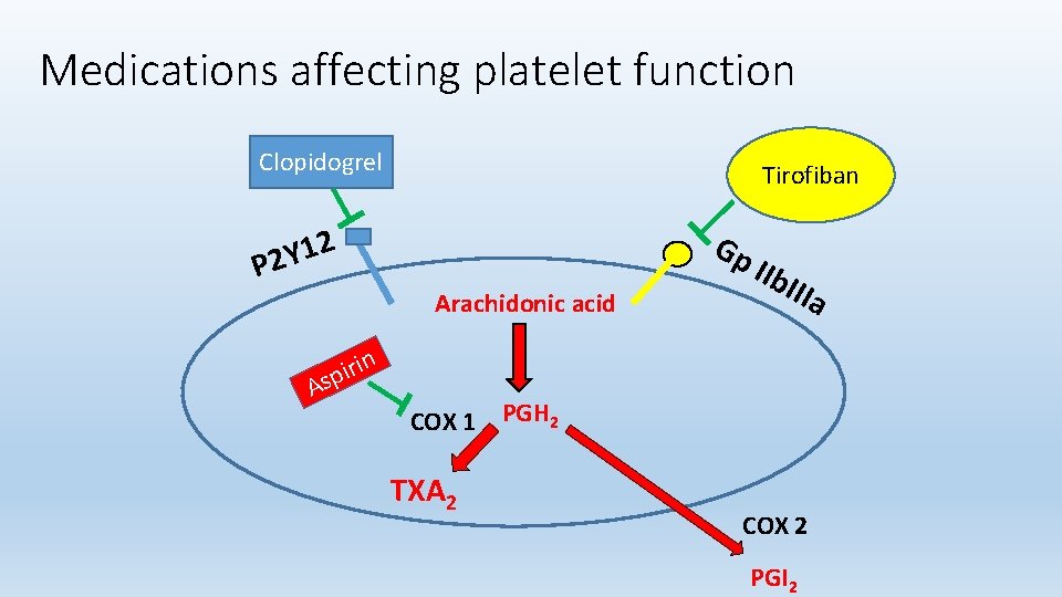 Medications affecting platelet function Clopidogrel Tirofiban 2 1 Y P 2 Gp Arachidonic acid