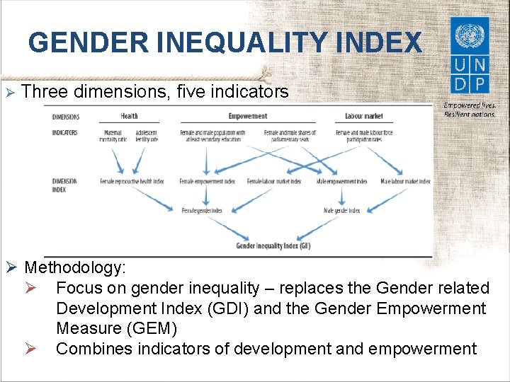 GENDER INEQUALITY INDEX Ø Three dimensions, five indicators Ø Methodology: Ø Focus on gender