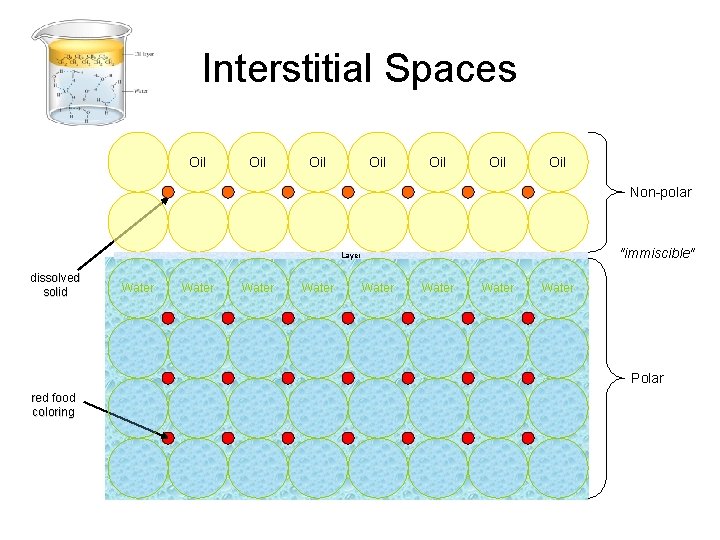 Interstitial Spaces Oil Oil Non-polar "immiscible" Layer dissolved solid Water Water Polar red food