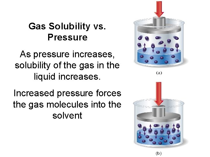 Gas Solubility vs. Pressure As pressure increases, solubility of the gas in the liquid