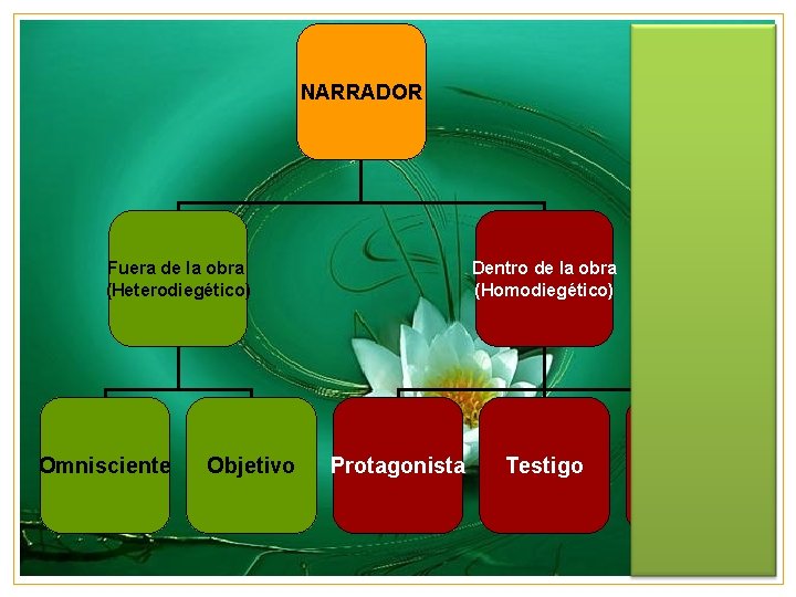 NARRADOR Fuera de la obra (Heterodiegético) Omnisciente Objetivo Dentro de la obra (Homodiegético) Protagonista