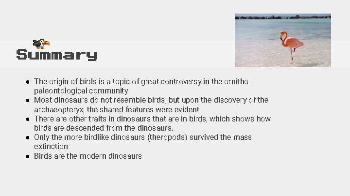 Summary ● The origin of birds is a topic of great controversy in the