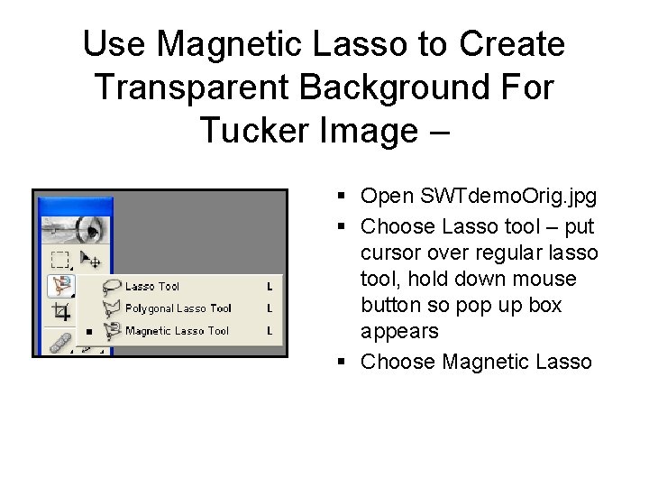Use Magnetic Lasso to Create Transparent Background For Tucker Image – § Open SWTdemo.