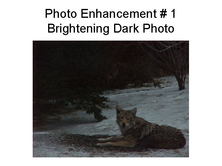 Photo Enhancement # 1 Brightening Dark Photo 