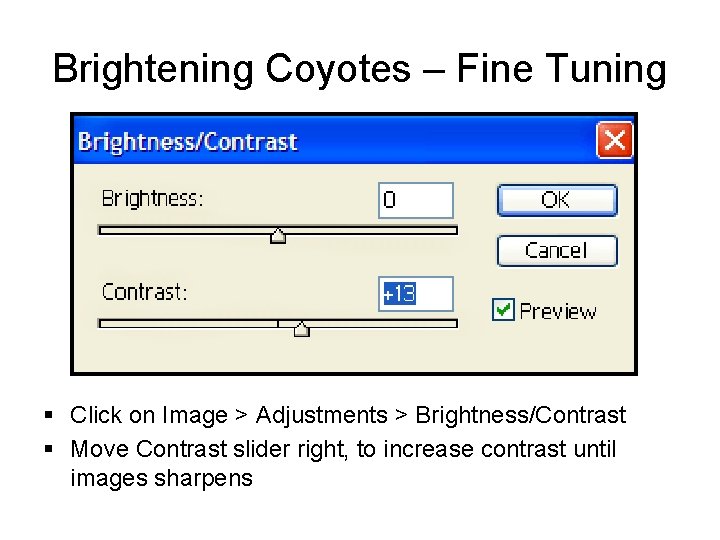 Brightening Coyotes – Fine Tuning § Click on Image > Adjustments > Brightness/Contrast §