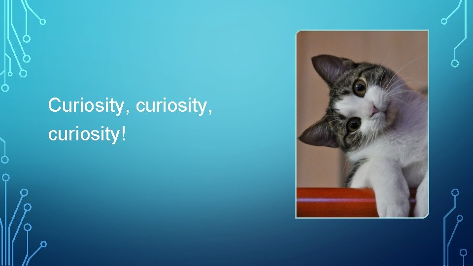 Curiosity, curiosity! 