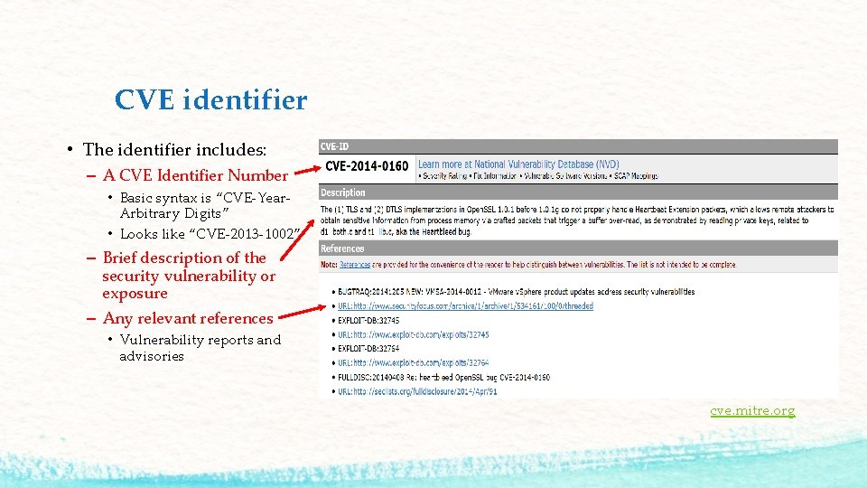 CVE identifier • The identifier includes: – A CVE Identifier Number • Basic syntax