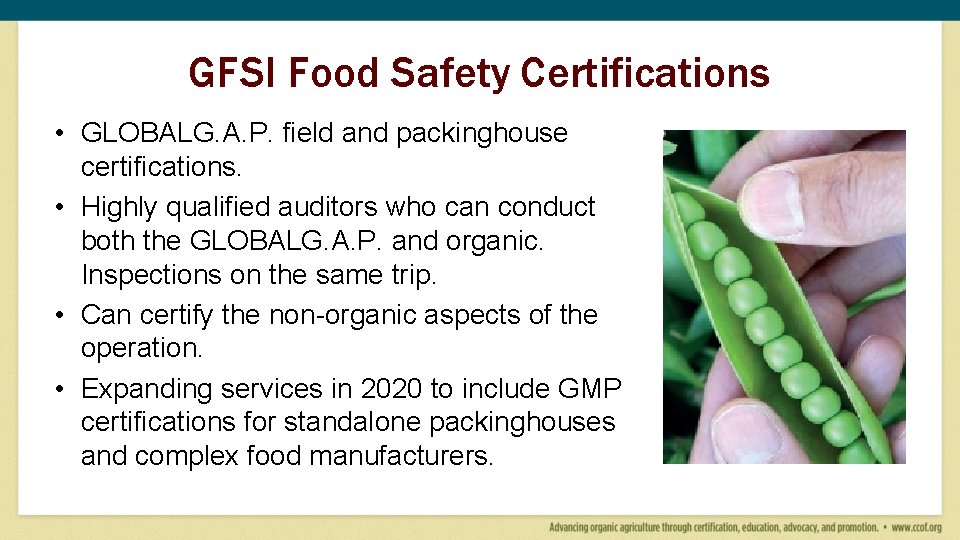 GFSI Food Safety Certifications • GLOBALG. A. P. field and packinghouse certifications. • Highly GFSI Food Safety Certifications • GLOBALG. A. P. field and packinghouse certifications. • Highly