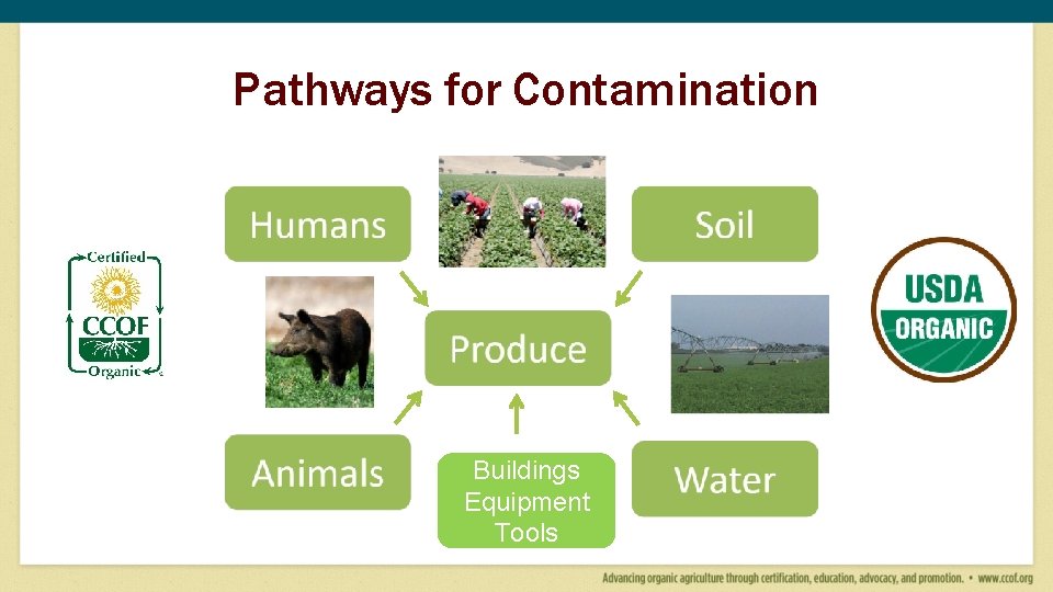 Pathways for Contamination Buildings Equipment Tools Pathways for Contamination Buildings Equipment Tools