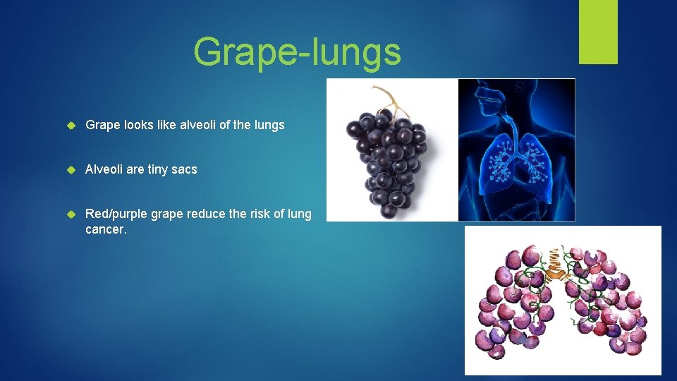 Grape-lungs Grape looks like alveoli of the lungs Alveoli are tiny sacs Red/purple grape
