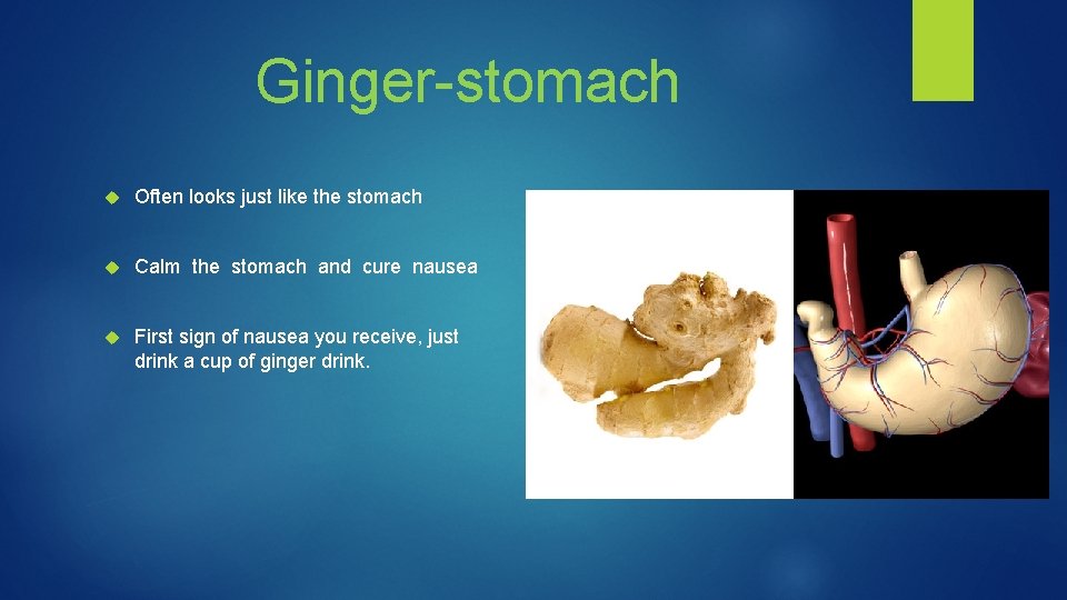 Ginger-stomach Often looks just like the stomach Calm the stomach and cure nausea First