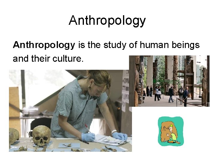 Anthropology is the study of human beings and their culture. 