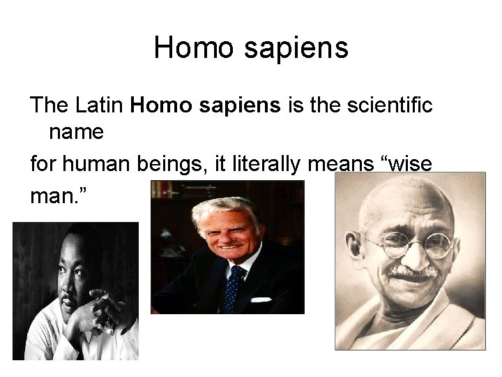 Homo sapiens The Latin Homo sapiens is the scientific name for human beings, it