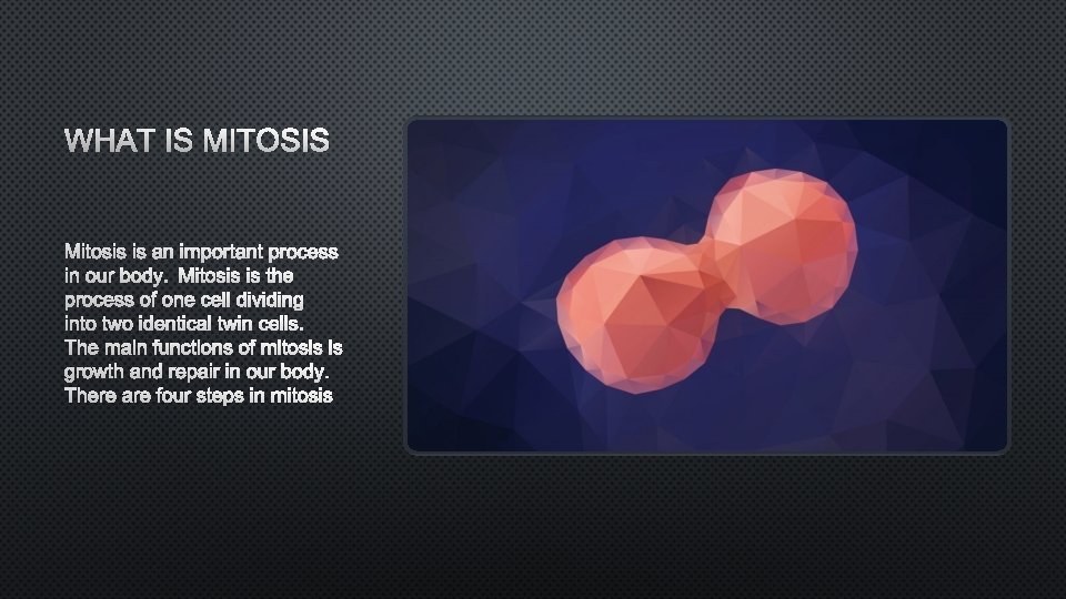 WHAT IS MITOSIS IS AN IMPORTANT PROCESS IN OUR BODY. MITOSIS IS THE PROCESS
