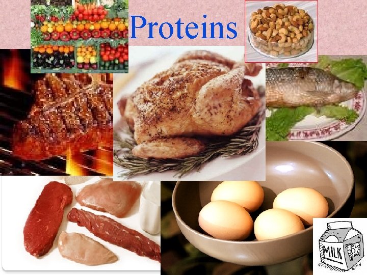 Proteins 