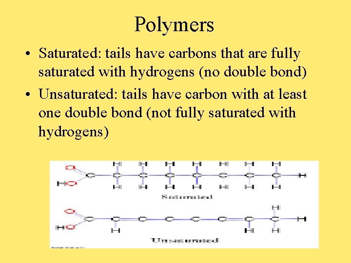 Polymers • Saturated: tails have carbons that are fully saturated with hydrogens (no double