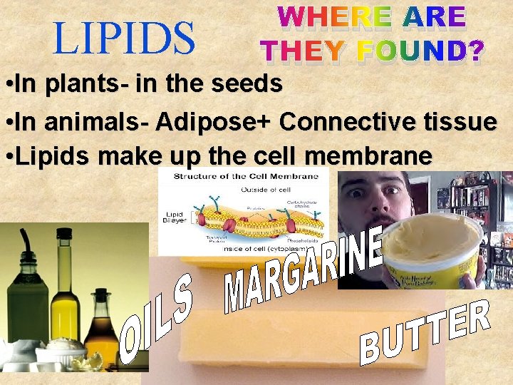LIPIDS WHERE ARE THEY FOUND? • In plants- in the seeds • In animals-