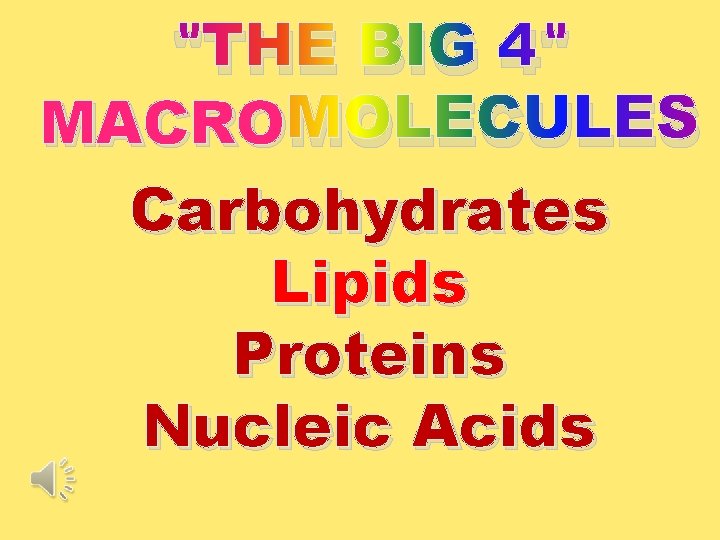 "THE BIG 4" MACRO MOLECULES Carbohydrates Lipids Proteins Nucleic Acids 