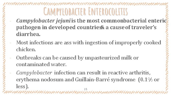 Campylobacter Enterocolitis Campylobacter jejuni is the most commonbacterial enteric pathogen in developed countries& a