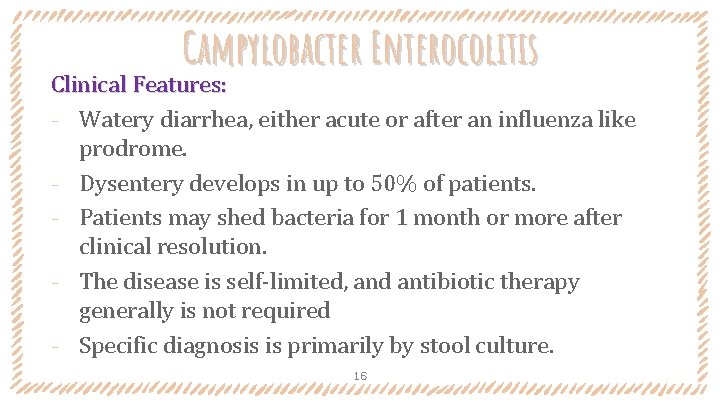 Campylobacter Enterocolitis Clinical Features: ‐ Watery diarrhea, either acute or after an influenza like