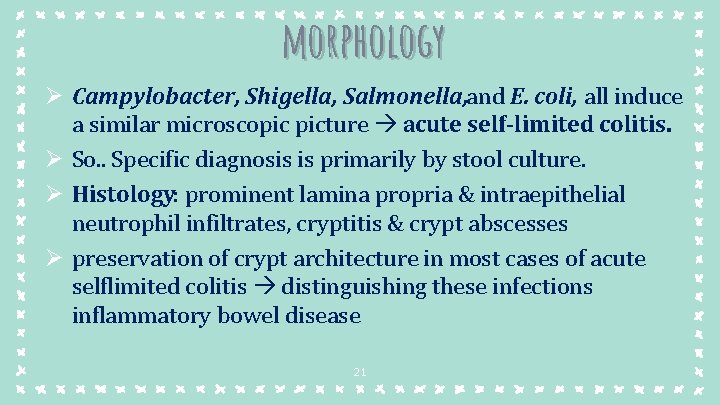 morphology Ø Campylobacter, Shigella, Salmonella, and E. coli, all induce a similar microscopic picture