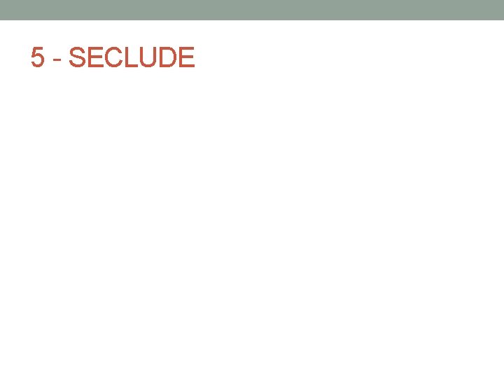 5 - SECLUDE 