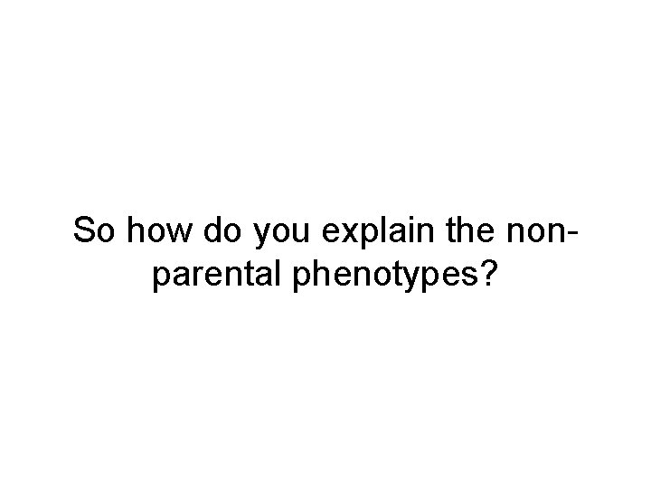 So how do you explain the nonparental phenotypes? 